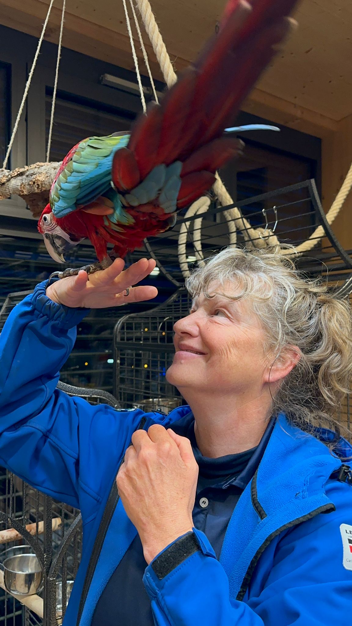 Kerstin Mielchen bei der Untersuchung eines Aras